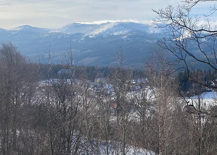 Park - Widokowy D14 Z Dostępem Do Basenu, Sauny, Jacuzzi I Prywatnej Komórki Na Rowery Apartament